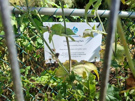 Silas Street Dog Park closure sign