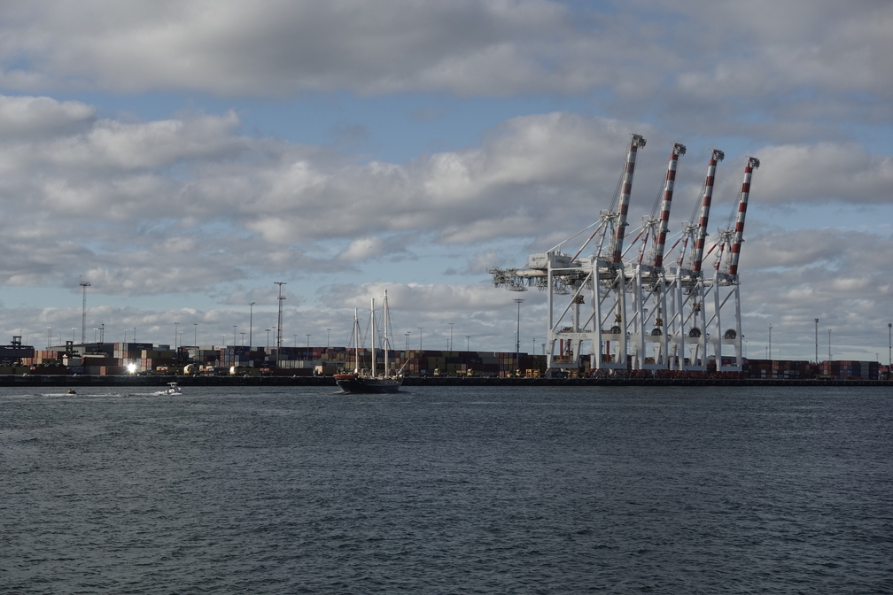 Leeuwin and four cranes