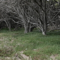 SAM08772