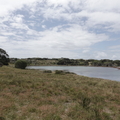 Lake Timperley from the south