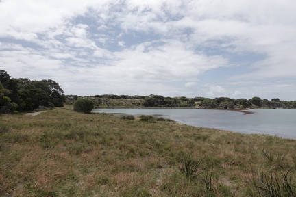 Lake Timperley from the south